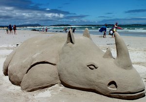 Renoster plesier in Franskraal